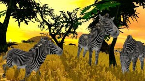 Striped Valley Trek 3D