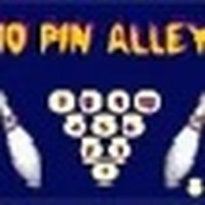 Ten Pin Alley Bowling Game