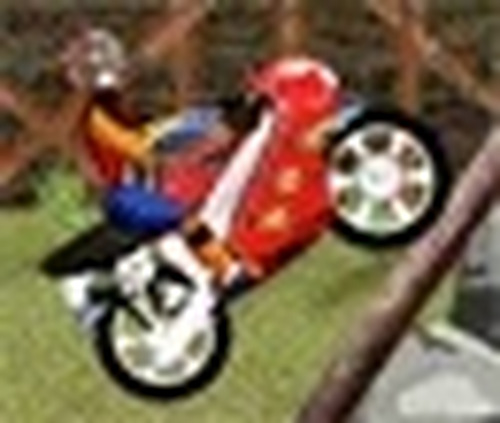Biker Feats Arcade Sports