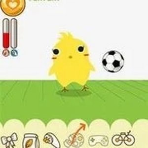 Can Your Pet? Online Pet Care Game