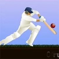 Little Master Cricket Online Arcade Game