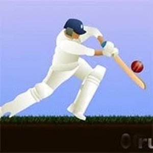 Little Master Cricket Online Game