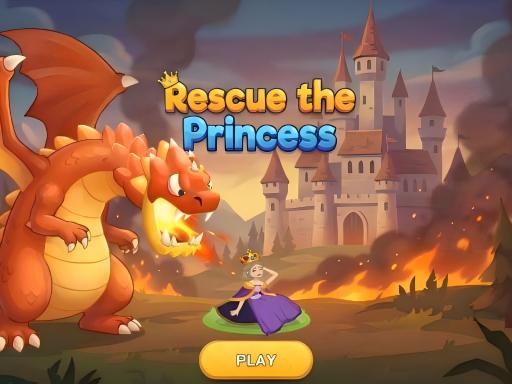 Rescue The Princess Puzzle Action