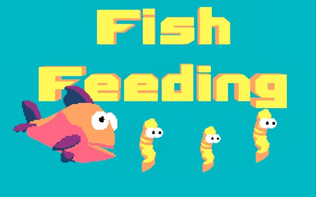 Feeding Fish: Ocean Adventure