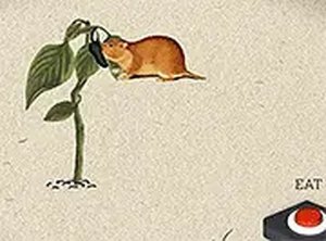 Eco Puzzle: Plant Life Cycles