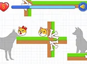 Pup's Heart Collection Run